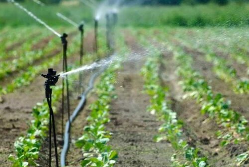 Različne vrste namakalnih sistemov in njihovo delovanje