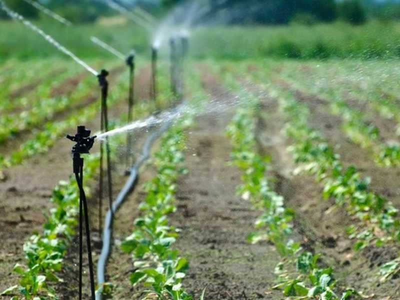 Različne vrste namakalnih sistemov in njihovo delovanje